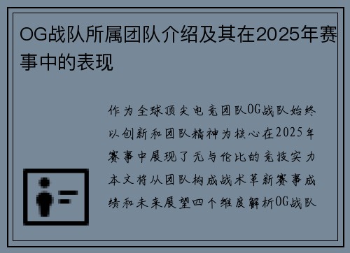 OG战队所属团队介绍及其在2025年赛事中的表现